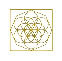 Life Concept Clinic