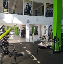 Sharks fitness