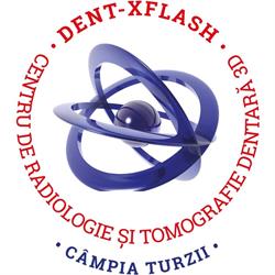 Dent-X Flash