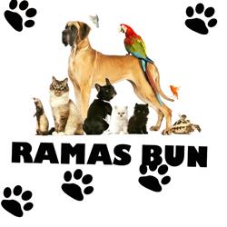 Cimitirul Animalelor de Companie Ramas Bun