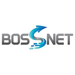 Bossnet - Agentie Web Design
