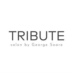 TRIBUTE SALON by George Soare