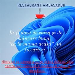 Ambasador Slatina