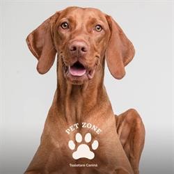 Salon PetZone