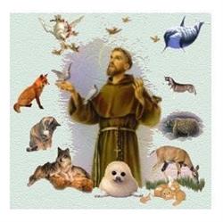 Biserica "Sfântul Francisc de Assisi"