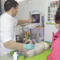Cabinet Veterinar Toma's