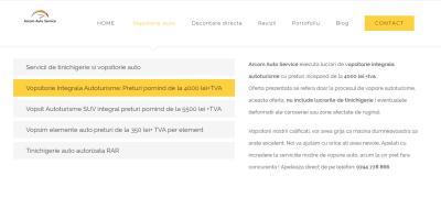 vopsitor-auto