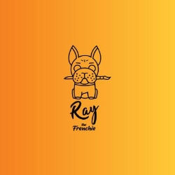 Ray the Frenchie