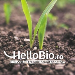 HelloBio