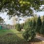 gradina
