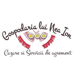 Gospodaria lui Nea Ion