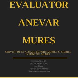 Evaluator Anevar Mures