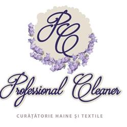 Professional Cleaner