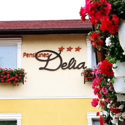 Pensiunea Delia