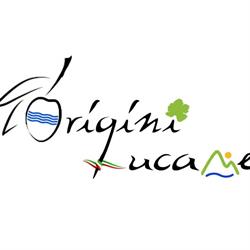 Origini Lucane