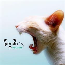 Panda Vet Care - Cat Friendly Clinic