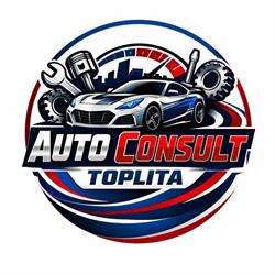 Auto Consult Toplita