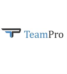 TeamPro Strategy Consulting