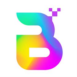 BOLD Web Design