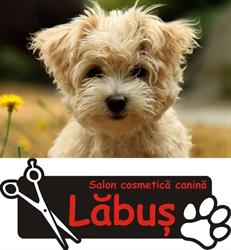 Salon Labus cosmetica canina