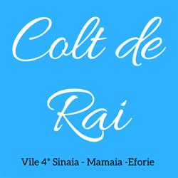 Vila Colt de Rai Sinaia