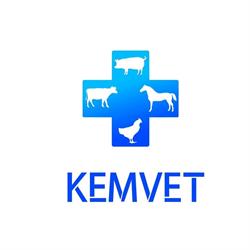 Kemvet