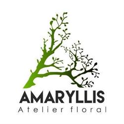 Atelier Amaryllis