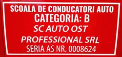 OST Auto Profesional