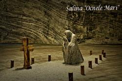 Salina Ocnele Mari