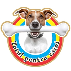 Totul pentru caini