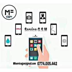 MF GSM