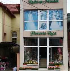 Florăria Rica