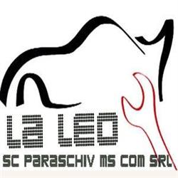 CarWashLeo