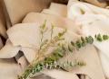 textile-naturale