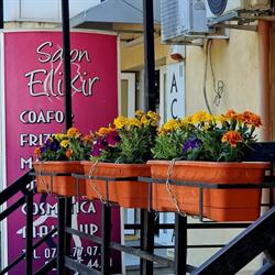 Salon Elixir