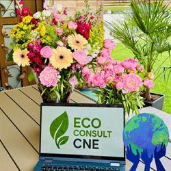 ECO RECYCLING C.N.E. SRL