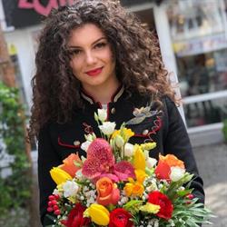 Floraria Euforia