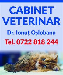 Veterinary Point Of Care