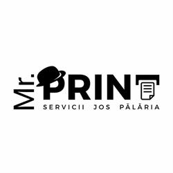 Mr. PRINT
