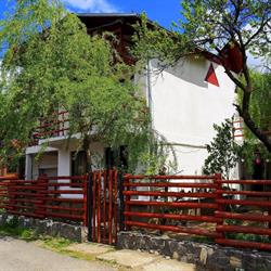 Vila Nik Busteni