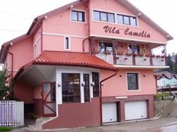 Vila Camelia - Vatra Dornei