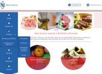 Website Meat Systems SRL