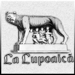 La Lupoaică Pizza,Paste & Grill