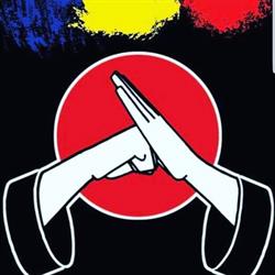 Shin Dojo Arte Martiale Mixte
