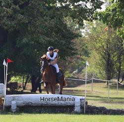 HorseMania