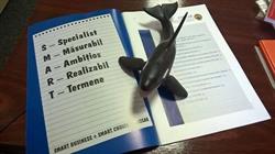 Orca Remote Accounting