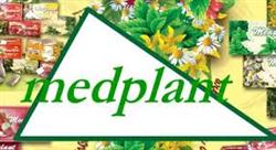 Medplant S.r.l.