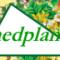 medplant