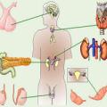 endocrinologie