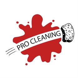 Pro Cleaning Cluj